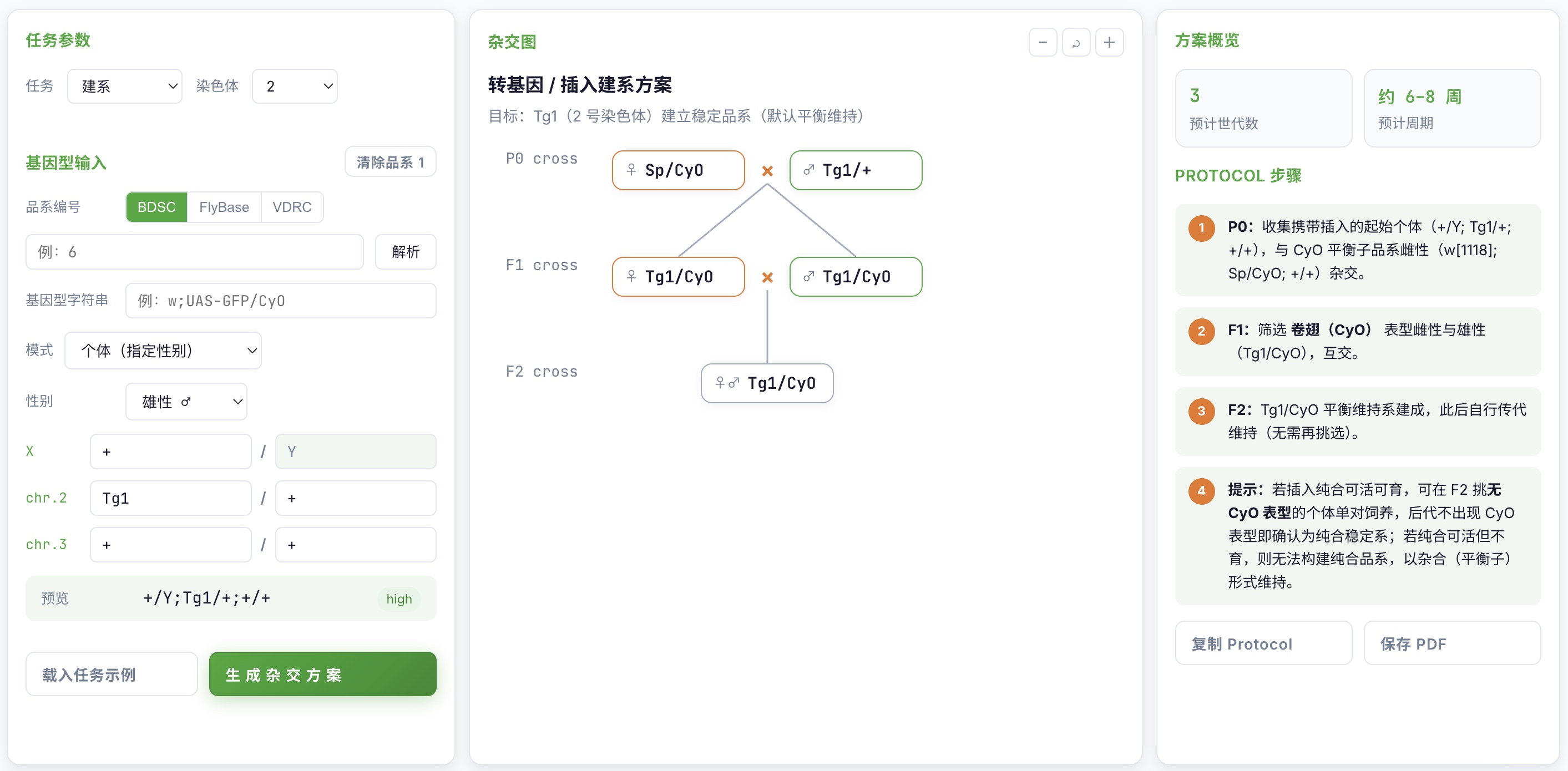 建系 (stock) 任务典型杂交图示例
